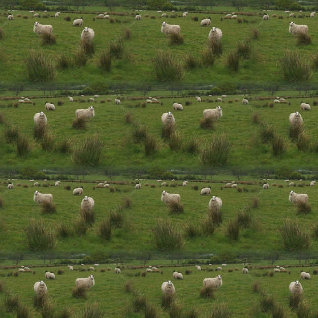 A sample of Repeating Pattern, Conversational Design, Seamless Repeating Patterns, Repeat Pattern, Blending, Naturalistic, Wallpaper Group PG