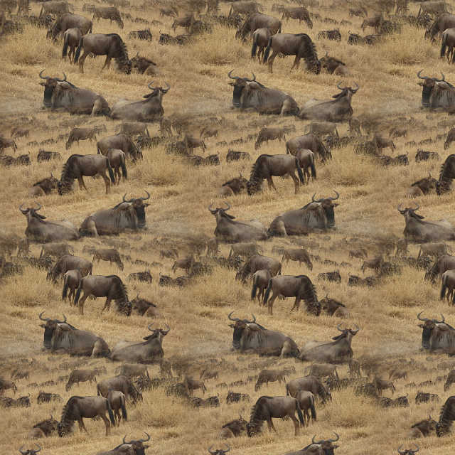 A sample of Repeating Pattern, Conversational Design, Figurative Design, Naturalistic, Wallpaper Group PG