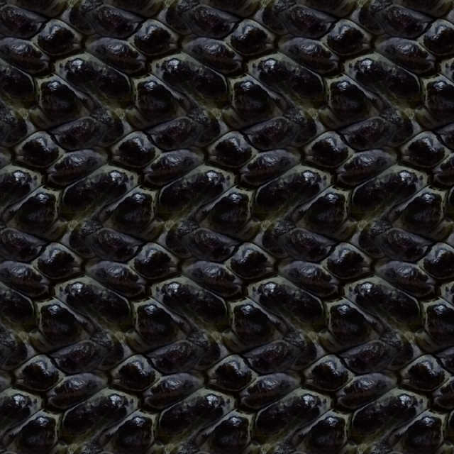 A sample of Botanical Pattern