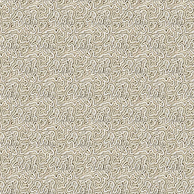 A sample of Wallpaper Group P1, Coral Pattern