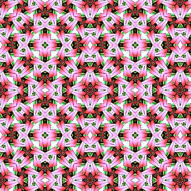 A sample of Wallpaper Group P4M