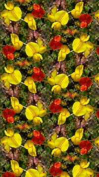 A sample of Floral Design, Repeating Pattern, Seamless Patterns, Repeat Pattern, Blending, Naturalistic