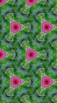 A sample of Random Layout