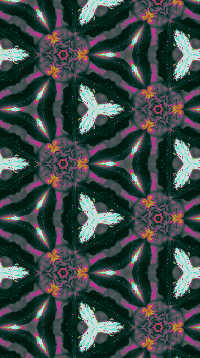 A sample of Wallpaper Group P3M1