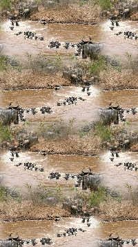 A sample of Conversational Design, Figurative Design, Naturalistic, Wallpaper Group PG