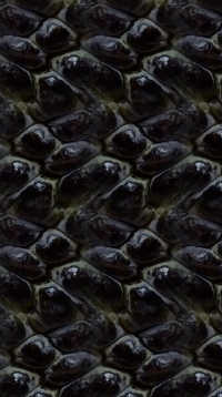 A sample of Botanical Pattern